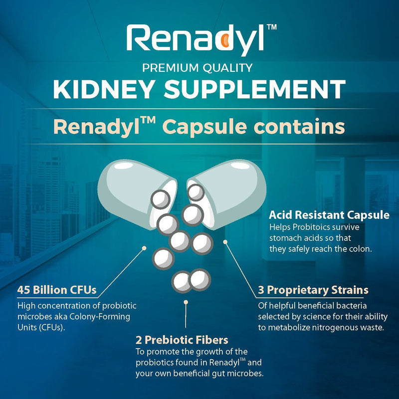 Renadyl™ (3 Bottles) + Kibow Fortis® (3 Bottle) Combo Pack